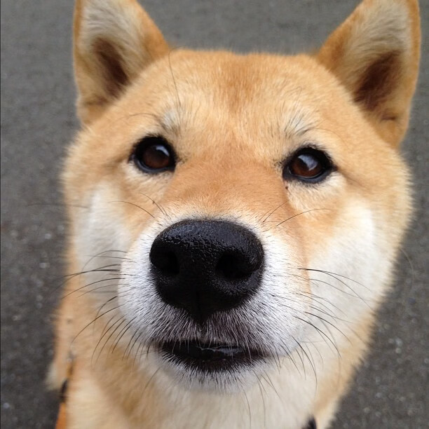 _赛事巡礼：今年必看的十场精彩比赛_，bisu十大精彩比赛