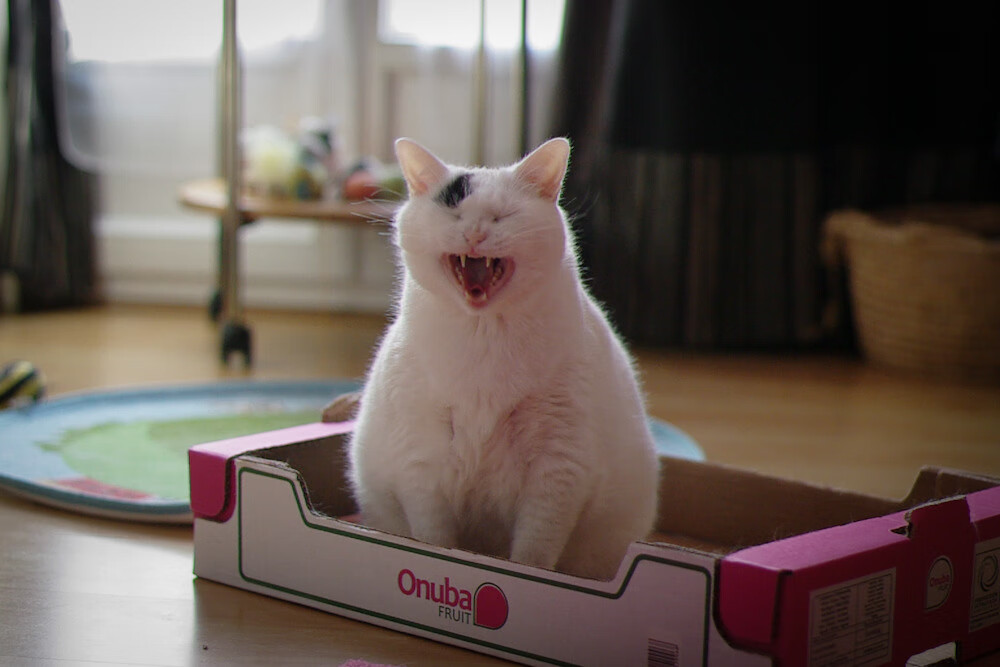 团队配合：北京队助攻达到23次，传球极为流畅！，北京队比赛