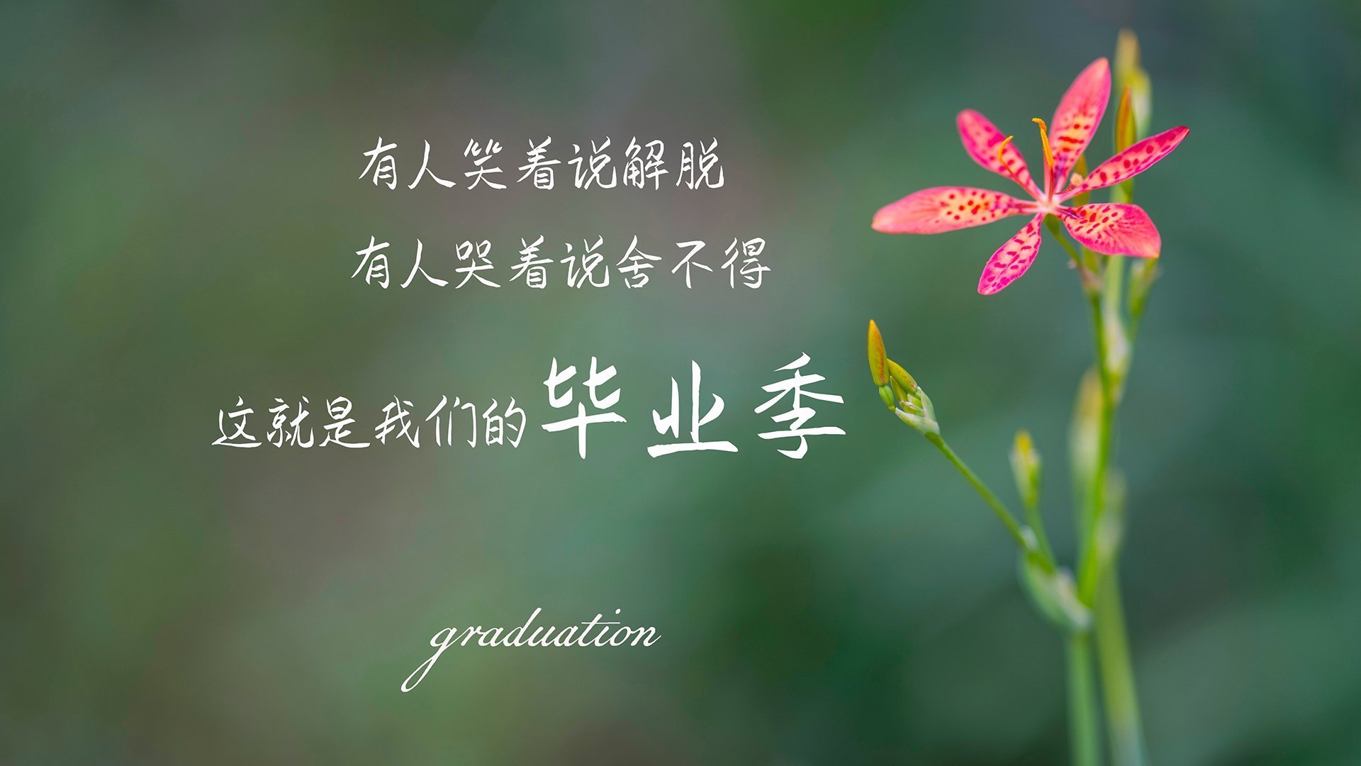 “中超主场观众破纪录，体育热情高涨”，中超现场观赛指南