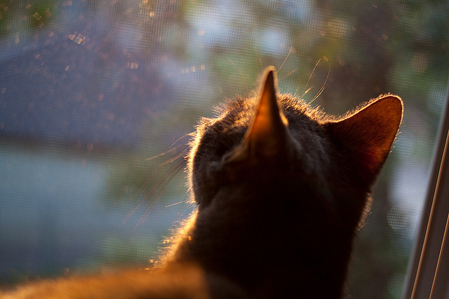 中国足球产业界开启创新创业大赛,足球创新创业计划书